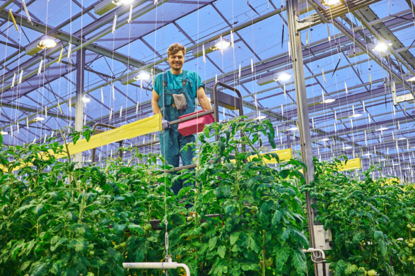 Polycarbonate greenhouse