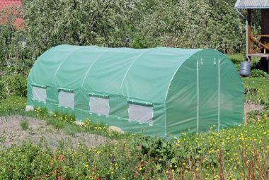 Greenhouse tent