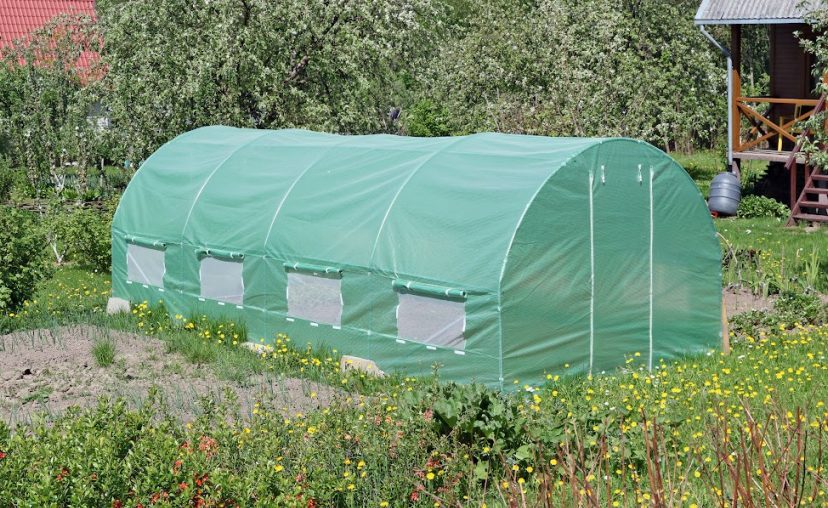 Greenhouse tent