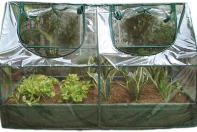 Cold frame Greenhouse