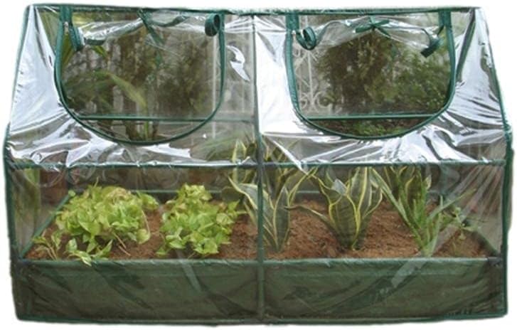 Cold frame Greenhouse